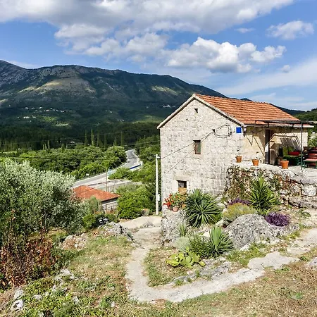 Apartman Jelena Gruda
