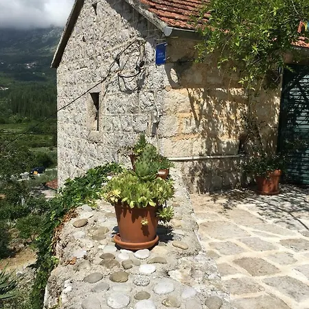Jelena Apartman