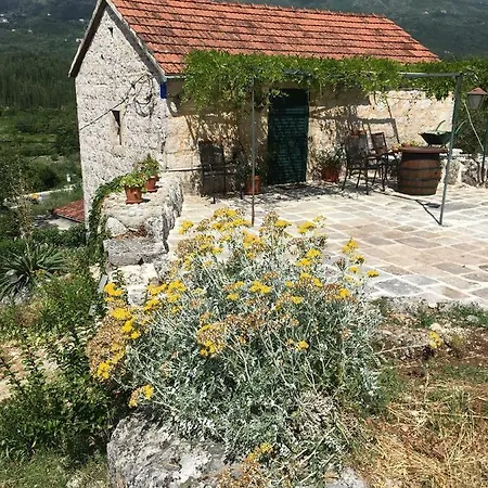 Apartman Jelena *